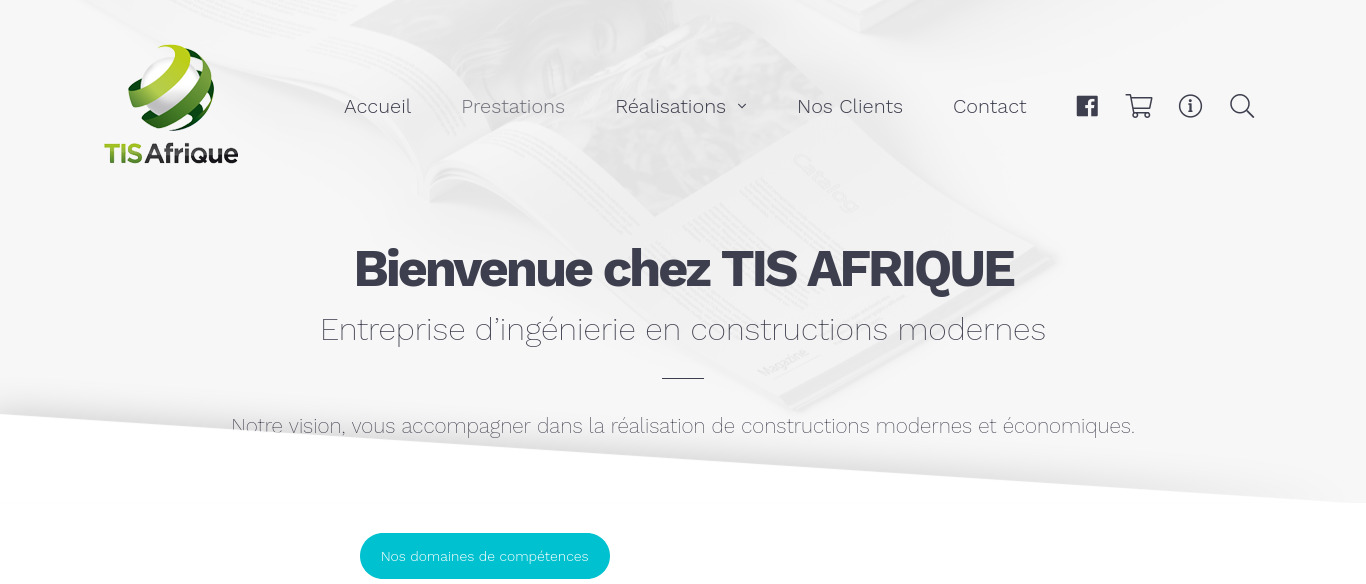 FireShot Capture 041 - TIS AFRIQUE – Bienvenue! - tisafrique.com.jpg